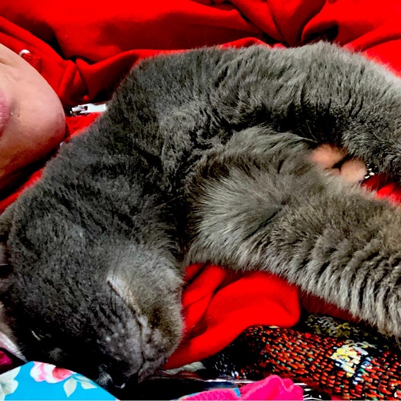 Meet your Posher, Tobi - Picture 8 of 14